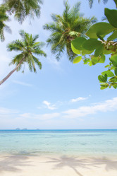 Similar image 806690