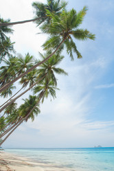 Similar image 806692