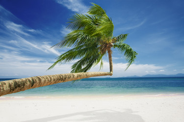 Similar image 806693