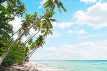 Similar image 806697