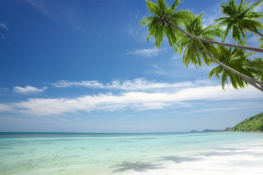 Similar image 806699