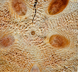 Similar image 806715