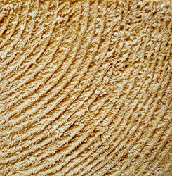 Similar image 806719