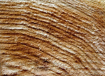 Similar image 806720