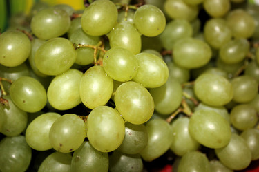 Similar image 806730