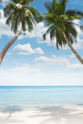 Similar image 806751