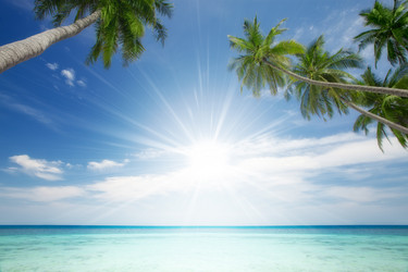 Similar image 806761