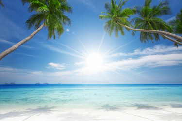 Similar image 806764