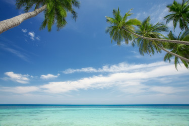 Similar image 806765