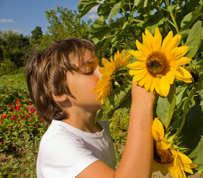 Similar image 806808