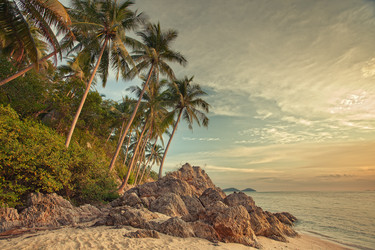 Similar image 806818