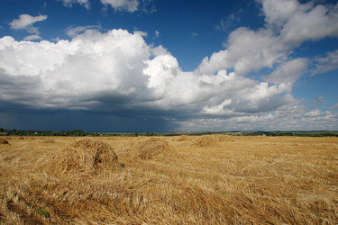 Similar image 806844