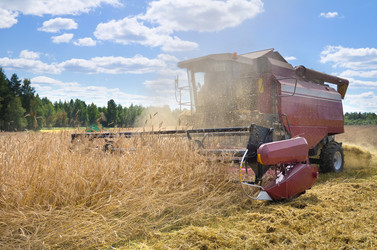 Similar image 806862