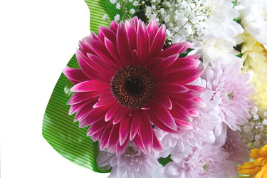 Similar image 806865