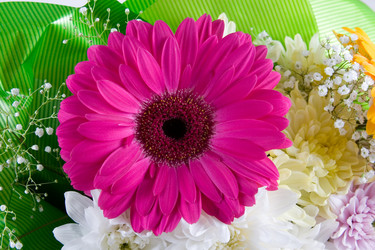 Similar image 806869