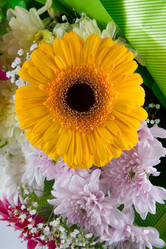 Similar image 806872