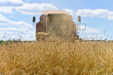 Similar image 806874