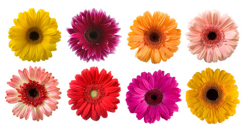 Similar image 806875