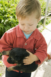 Similar image 806877