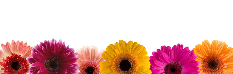 Similar image 806879