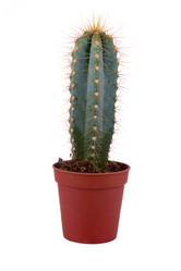 Similar image 806882