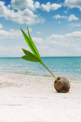 Similar image 806905