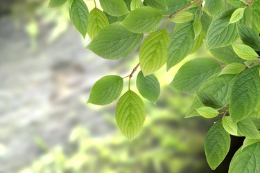 Similar image 806958