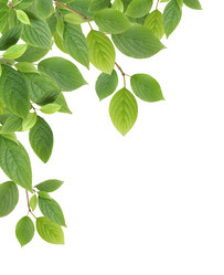 Similar image 806959