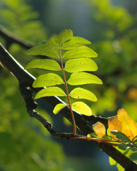 Similar image 806963