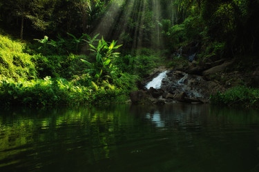 Similar image 807031