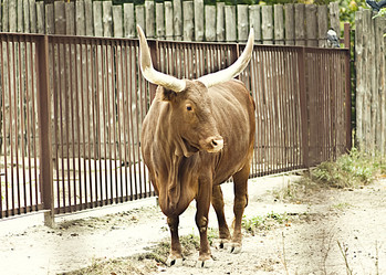 Similar image 807192