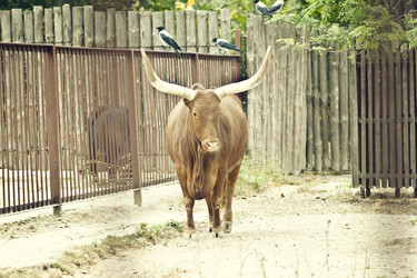 Similar image 807193