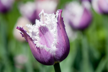 Similar image 807409