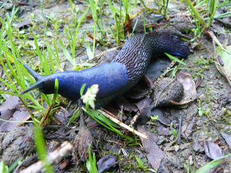 Similar image 807419