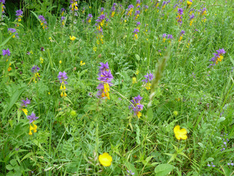 Similar image 807422