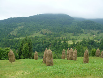 Similar image 807424