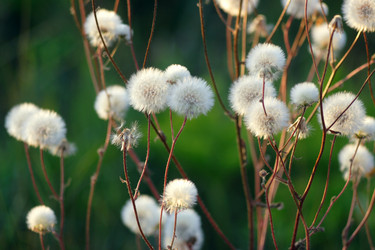 Similar image 807494