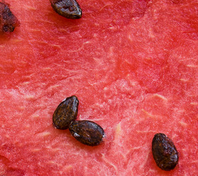 Similar image 807497