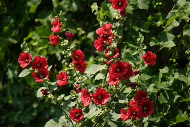 Similar image 807508