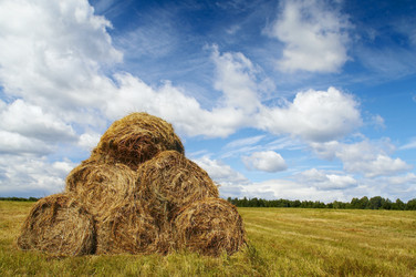 Similar image 807513