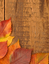 Similar image 807589