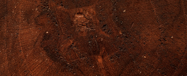 Similar image 807638