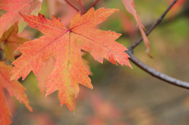 Similar image 807653