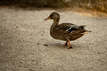 Similar image 807656