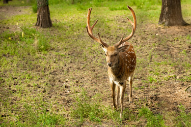 Similar image 807663