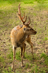 Similar image 807664