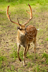 Similar image 807665