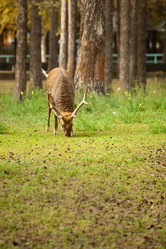 Similar image 807666