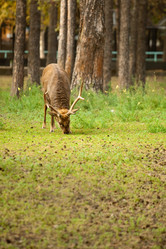 Similar image 807667