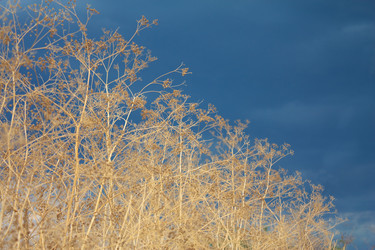 Similar image 807680